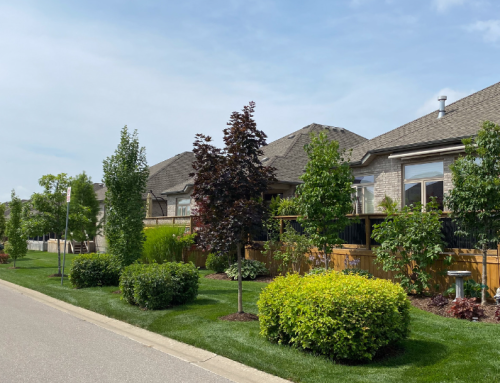 Well Established GTA Landscaping Business For Sale